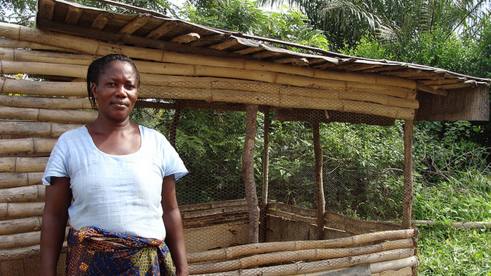 Women farmers working in an agricultural setting